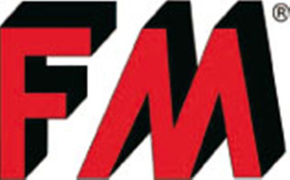 LOgo FM